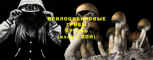 ECSTASY Алексин