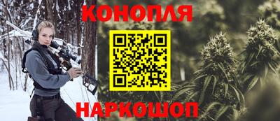 a pvp Славгород