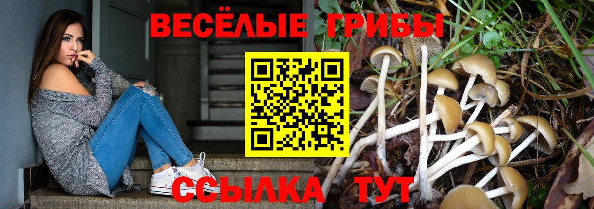 Галлюциногенные грибы Psilocybine cubensis  Вход с VPN  Новомосковск 